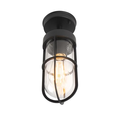 Venkovní stropní svítidlo černé se sklem IP44 - Elza