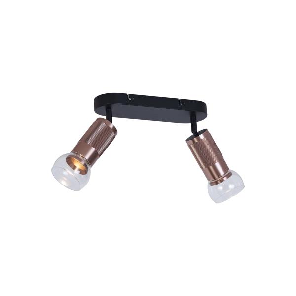 Zaoblené stropní bodové svítidlo tmavě bronzové 2-světelné nastavitelné - Veerle